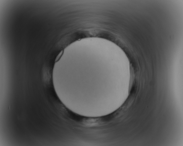 X0000087560129200705251808