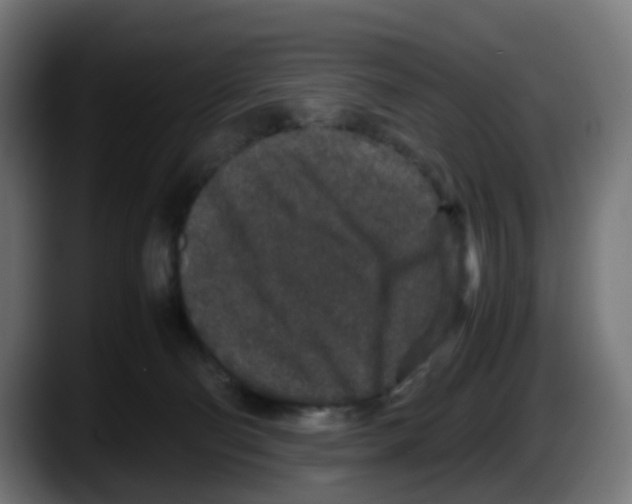X0000087560130200705251808