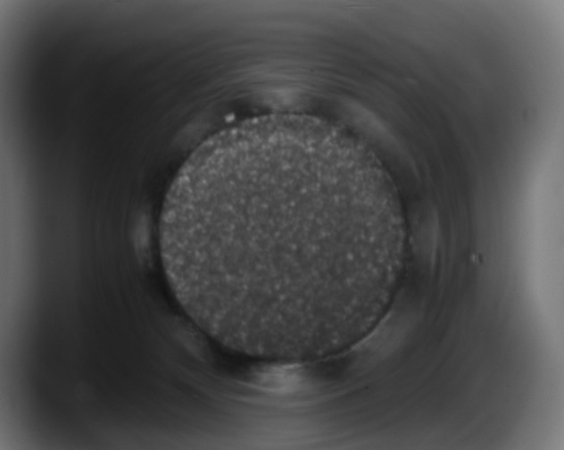 X0000087560132200705251808