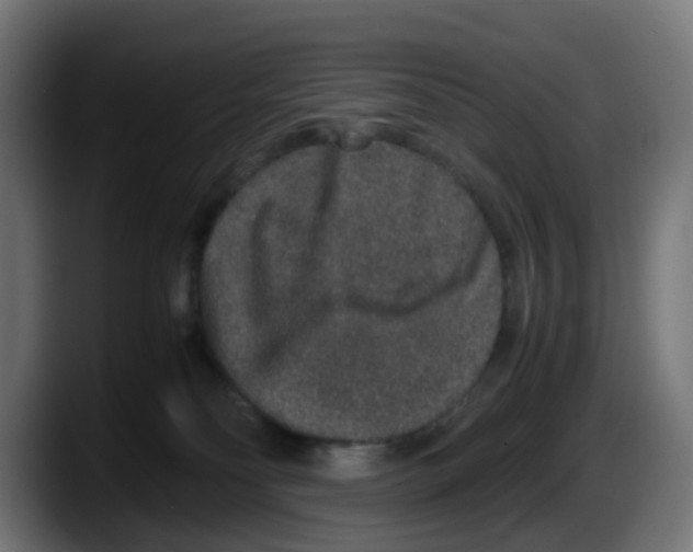X0000087560134200705251808