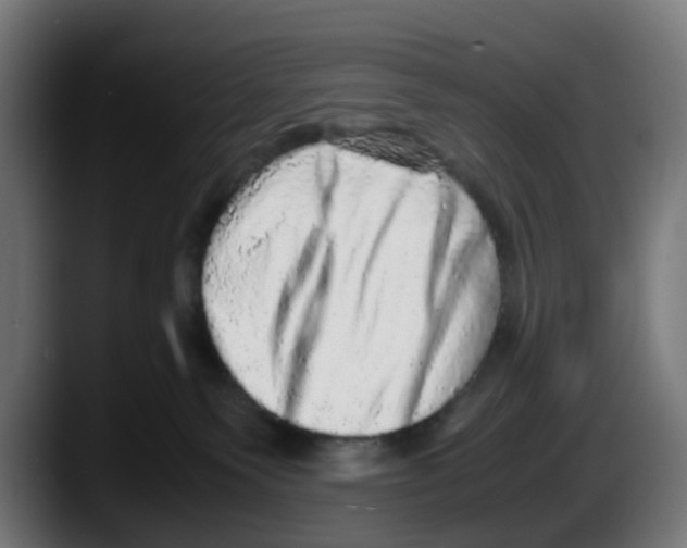 X0000087560135200705251808