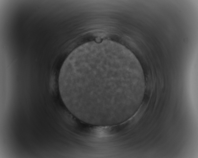 X0000087560136200705251808