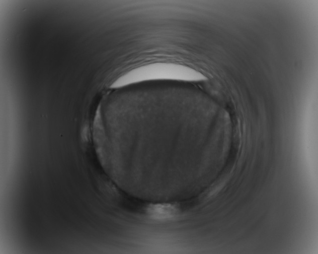 X0000087560137200705251808