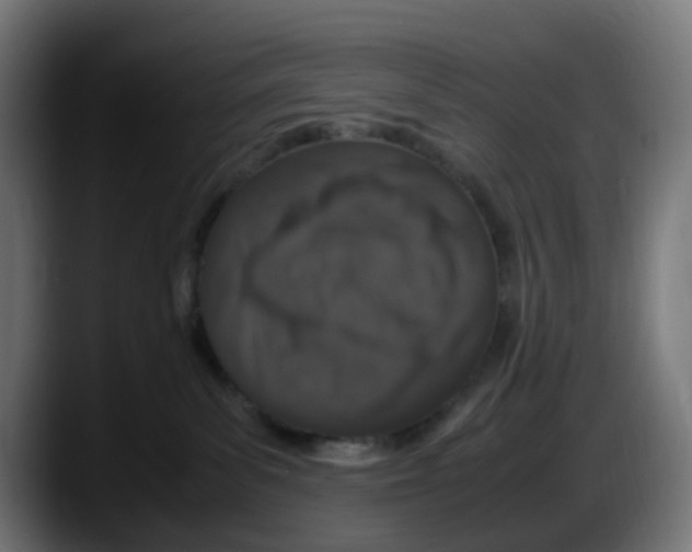 X0000087560139200705251808