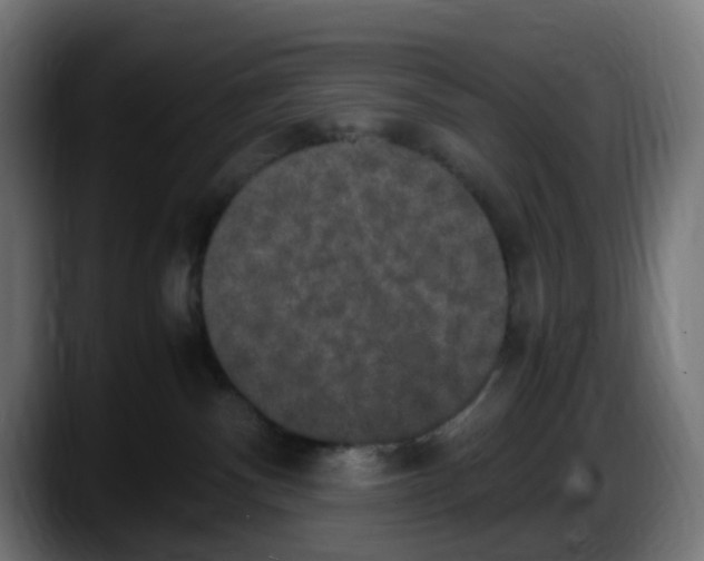 X0000087560140200705251808