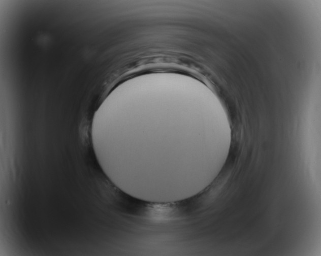 X0000087560141200705251808