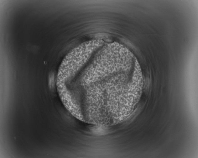 X0000087560142200705251808
