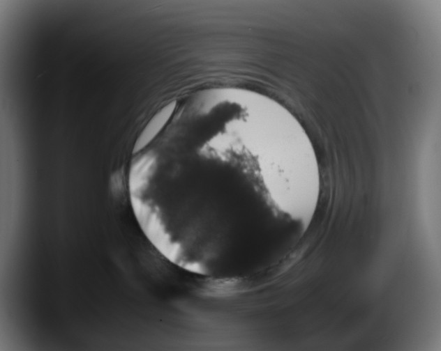 X0000087560143200705251808
