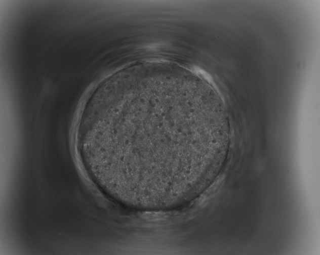 X0000087560145200705251807