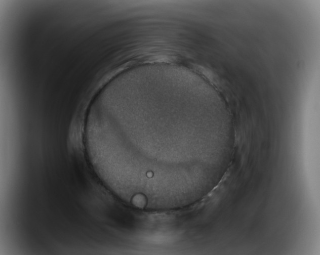 X0000087560146200705251807