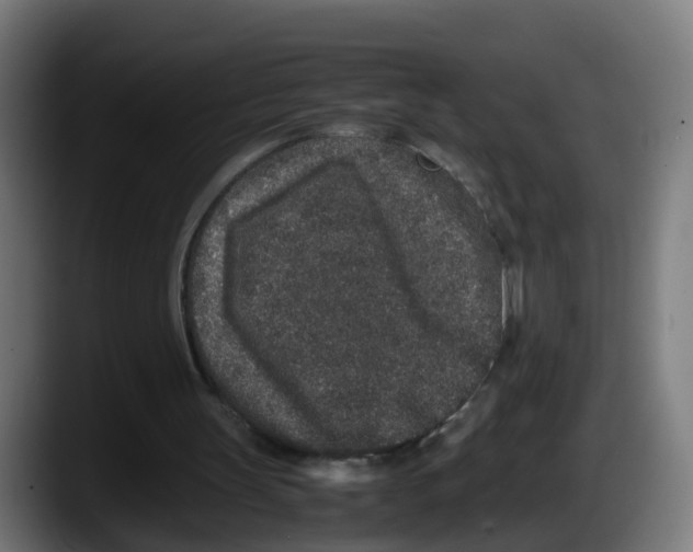 X0000087560147200705251807
