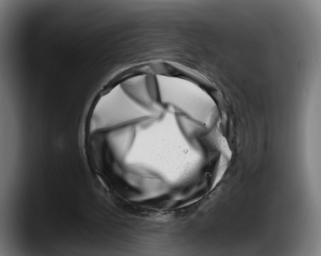 X0000087560148200705251807
