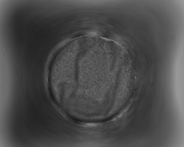 X0000087560149200705251807