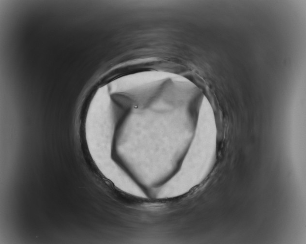 X0000087560150200705251807