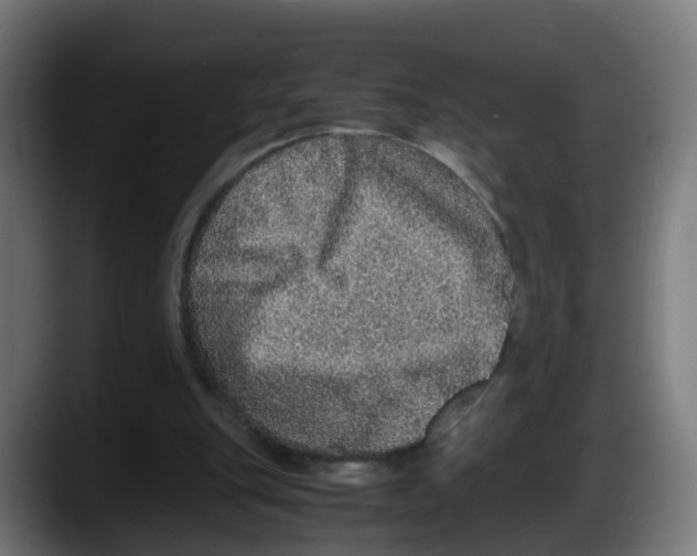 X0000087560151200705251807