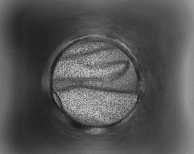 X0000087560152200705251807