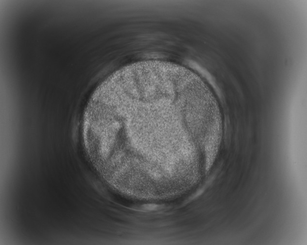 X0000087560153200705251807
