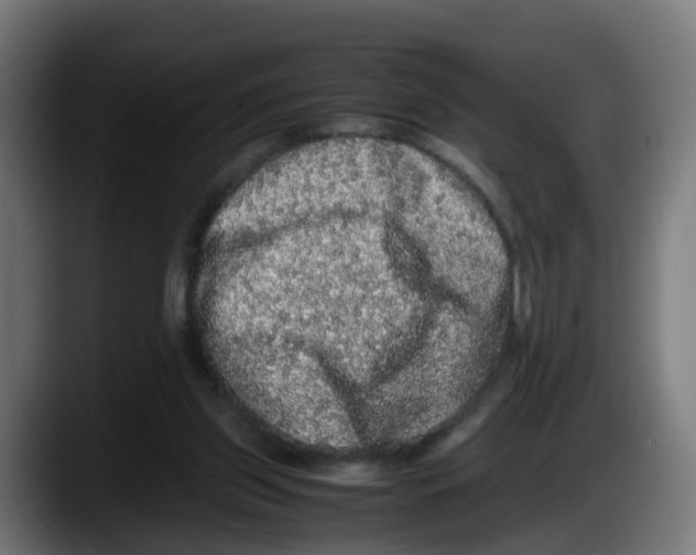 X0000087560157200705251807