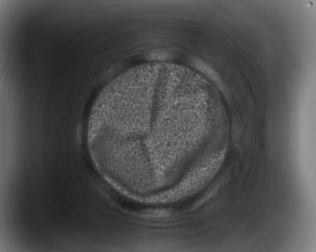 X0000087560161200705251807