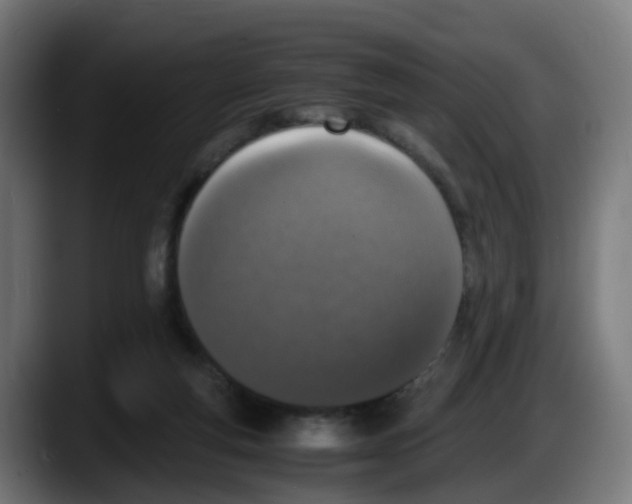 X0000087560163200705251807