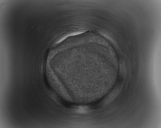 X0000087560165200705251807