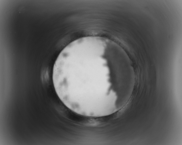 X0000087560166200705251807