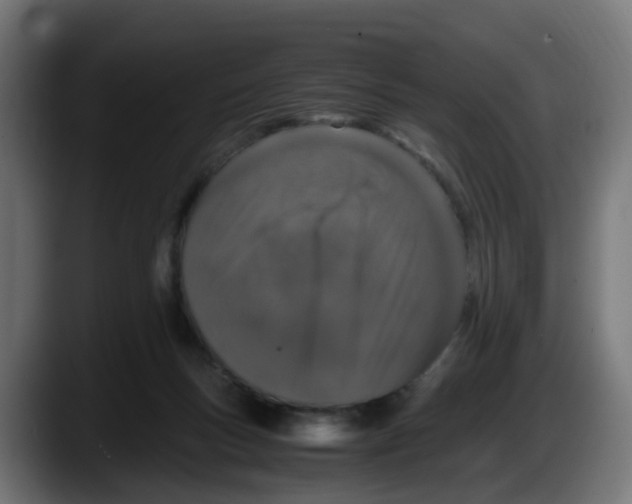X0000087560167200705251807