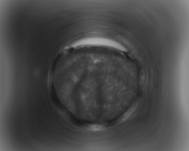 X0000087560168200705251807