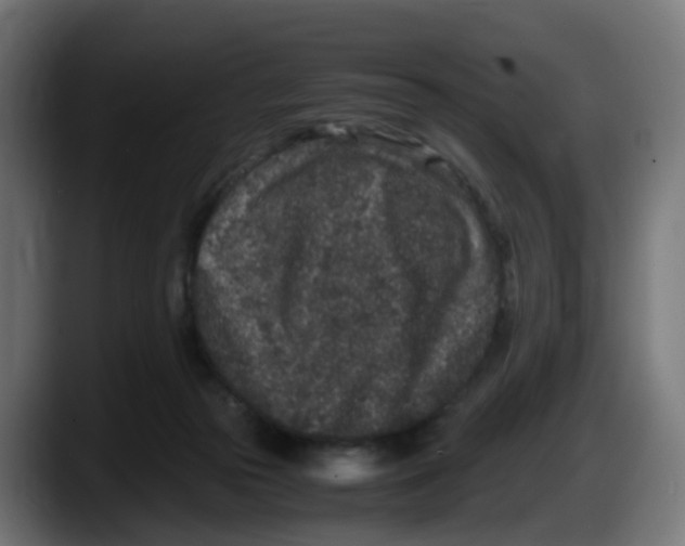 X0000087560169200705251807
