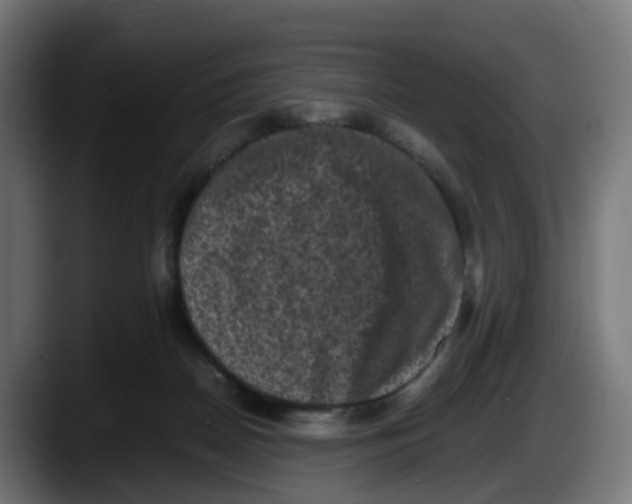 X0000087560170200705251807