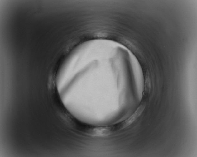X0000087560172200705251807
