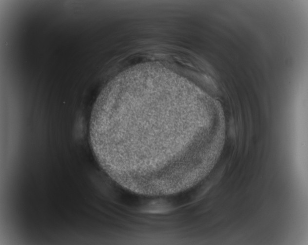 X0000087560173200705251807
