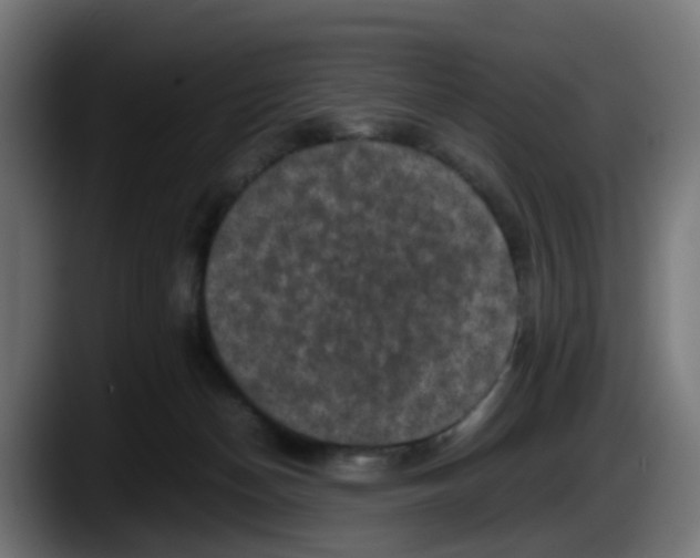 X0000087560174200705251807