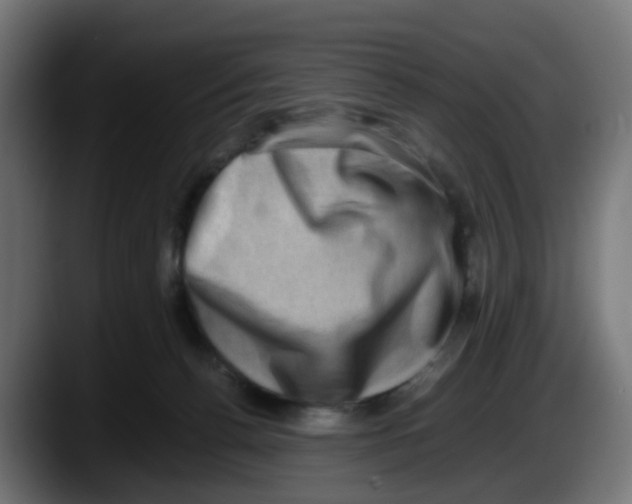 X0000087560176200705251807