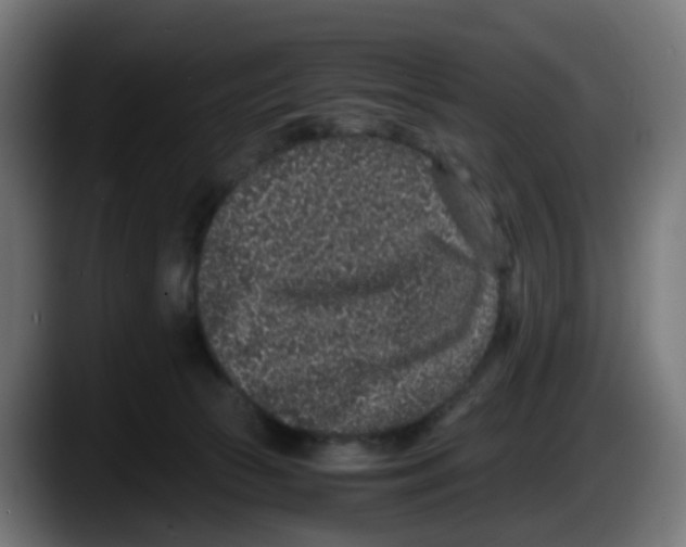 X0000087560177200705251807
