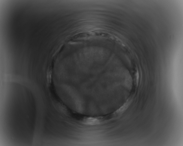 X0000087560180200705251807