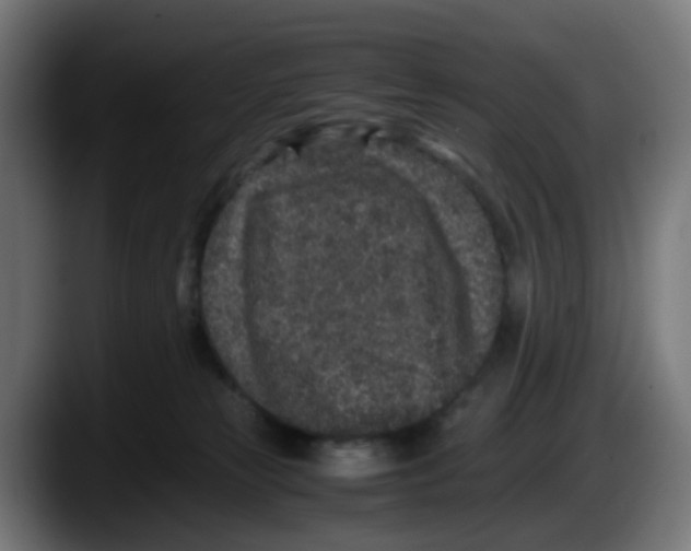 X0000087560181200705251807