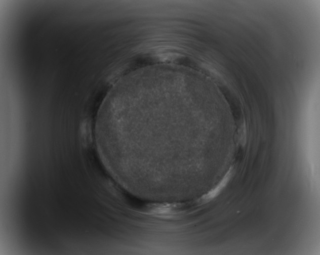 X0000087560182200705251807