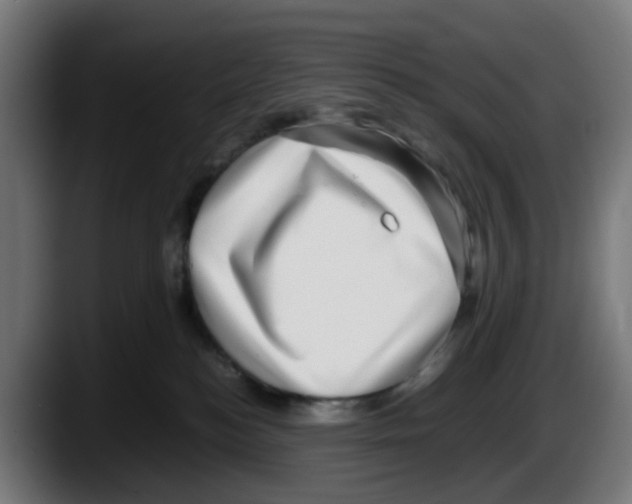 X0000087560184200705251807