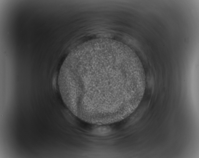 X0000087560185200705251807