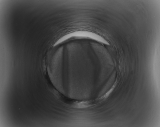 X0000087560186200705251808