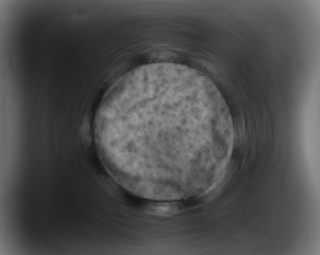 X0000087560187200705251808