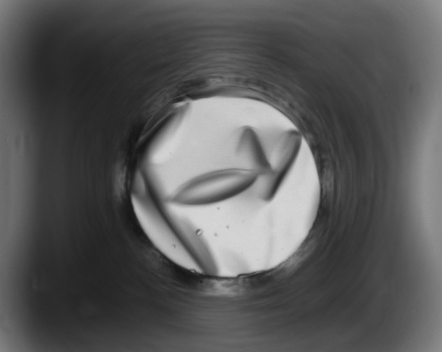 X0000087560188200705251808