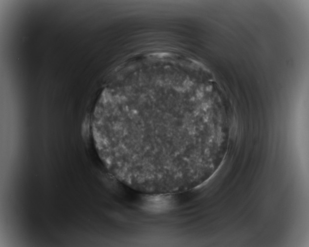 X0000087560191200705251808