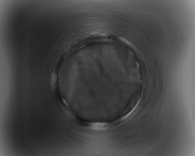 X0000087560192200705251808