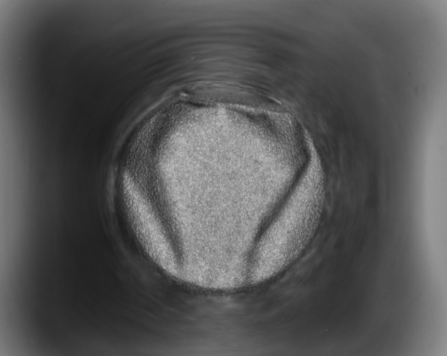 X0000087560194200705251807