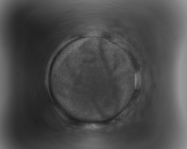 X0000087560195200705251807