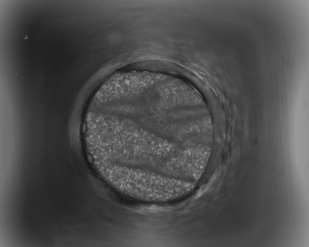 X0000087560197200705251807