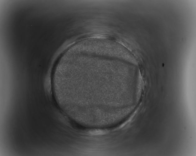 X0000087560198200705251807
