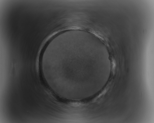X0000087560200200705251807